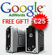 Google AdWords OMAGGIO!